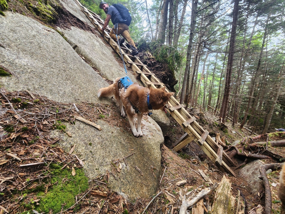 andrew and stella negotiating the long stair