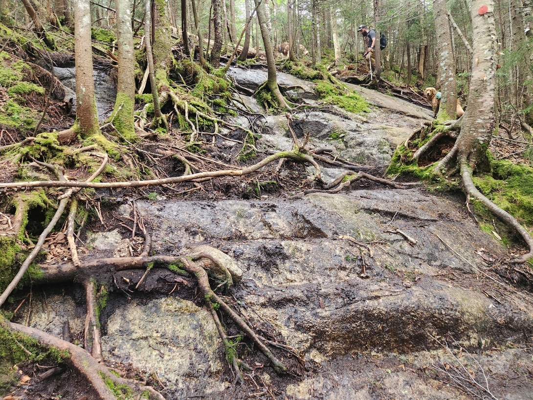 steep ascent of Blake