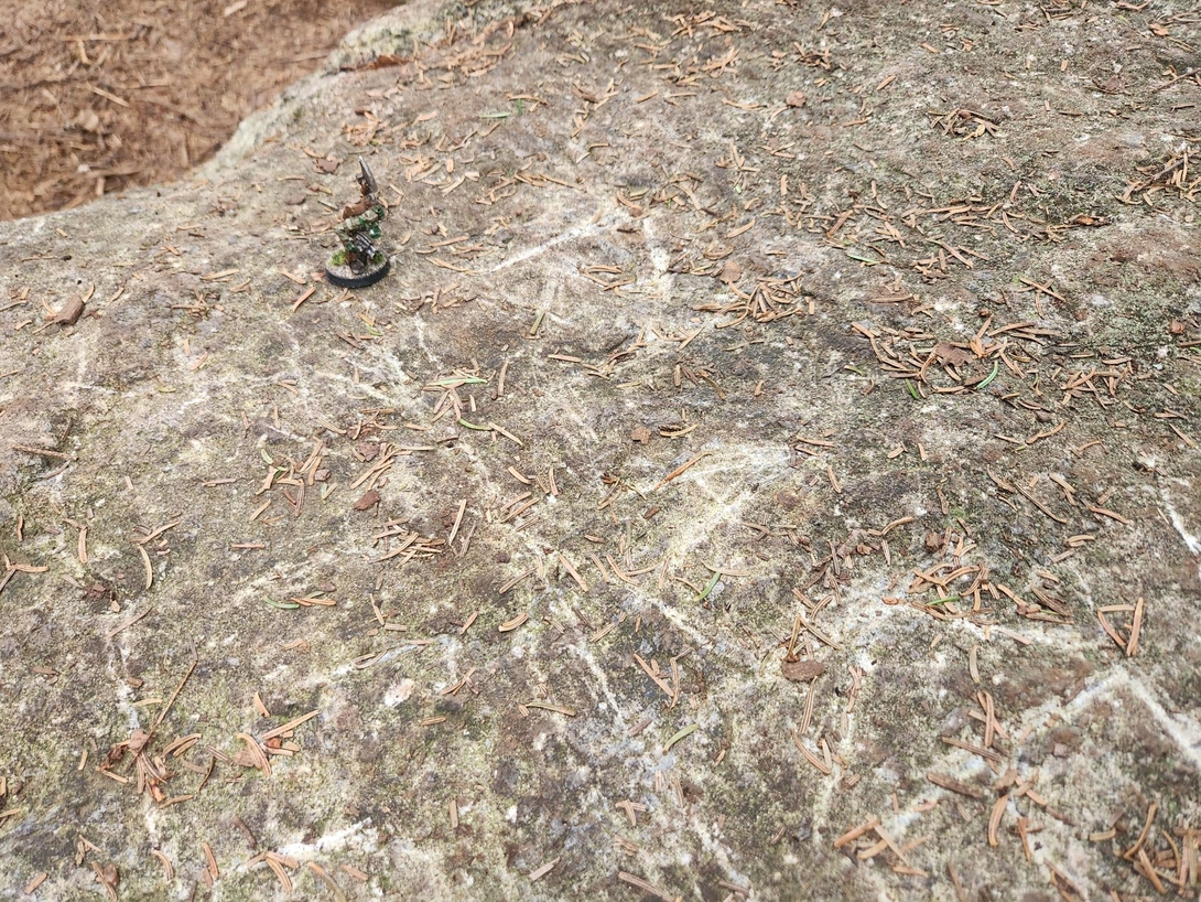 Adirondack Kommando thinks the summit of Blake is a great place to blend into the scenery.