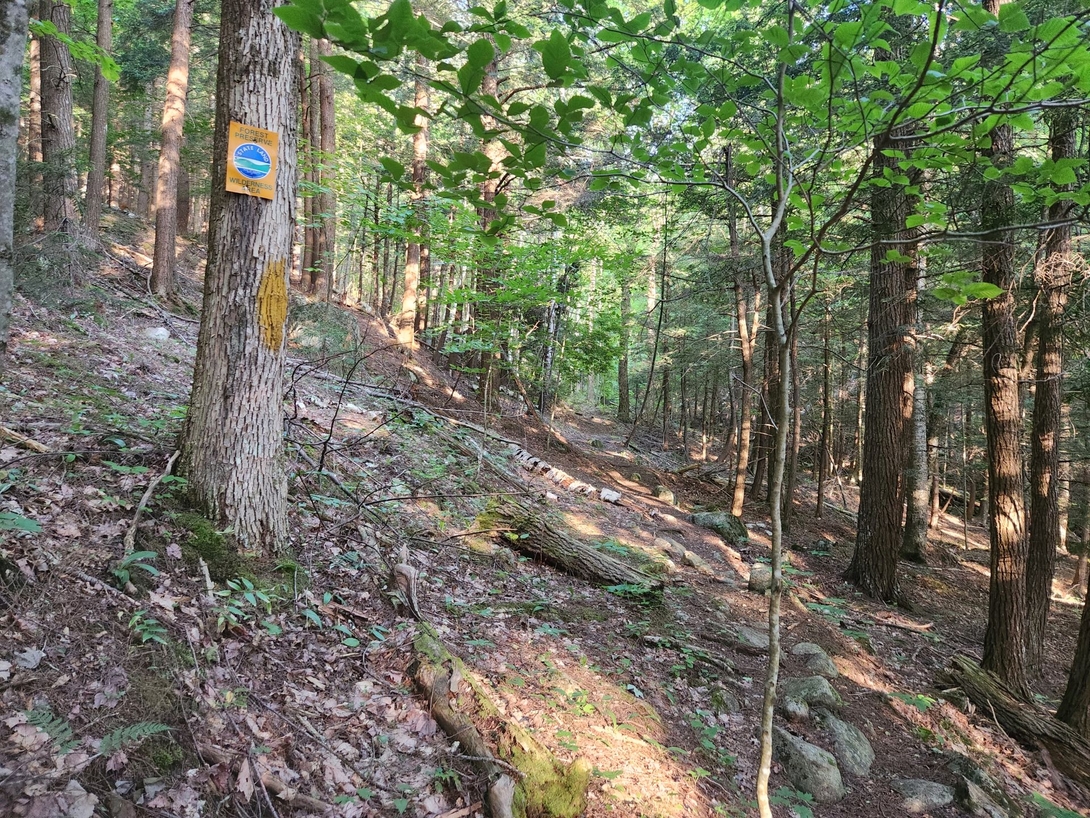public lands