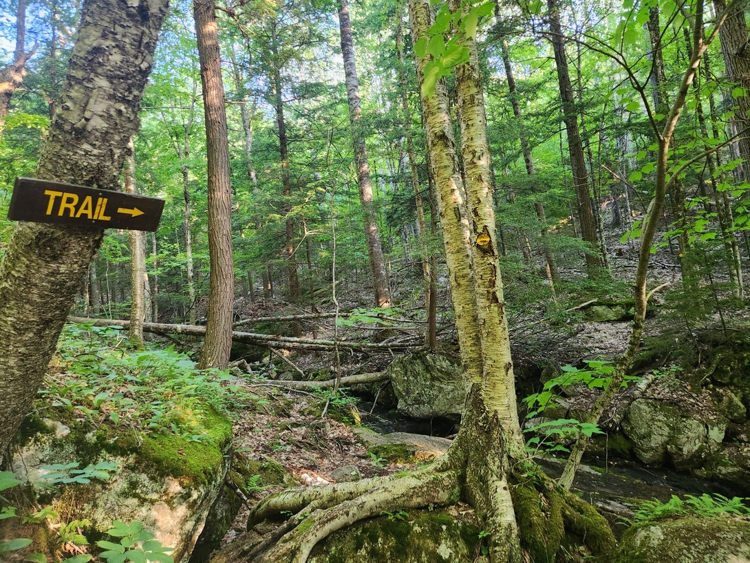 trail