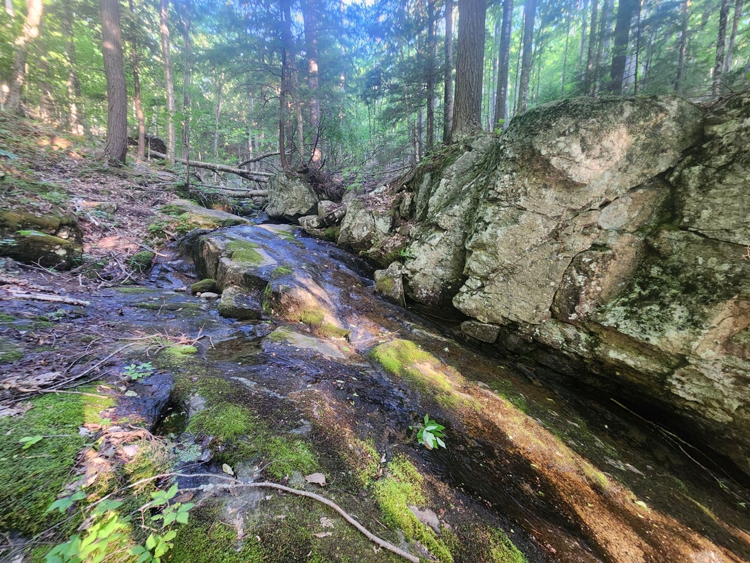 stream