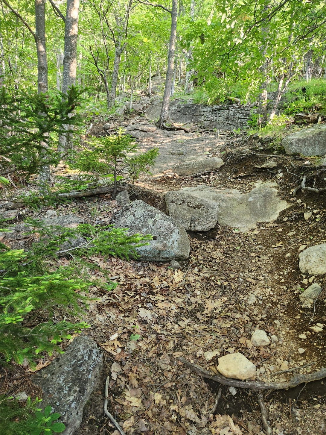 slabs