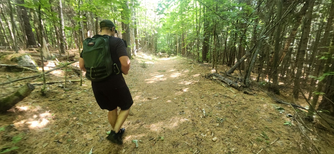 down the keene town trail