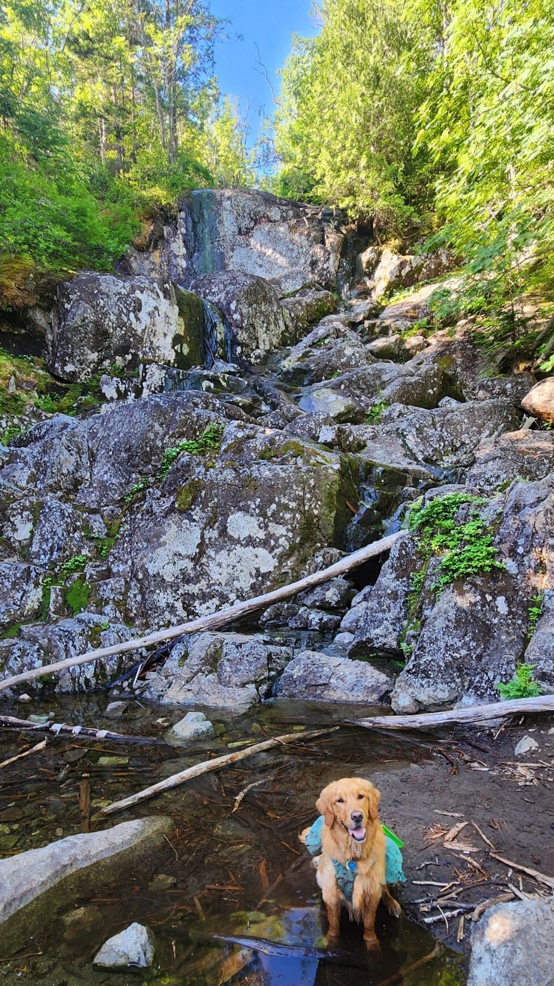 Macintyre falls