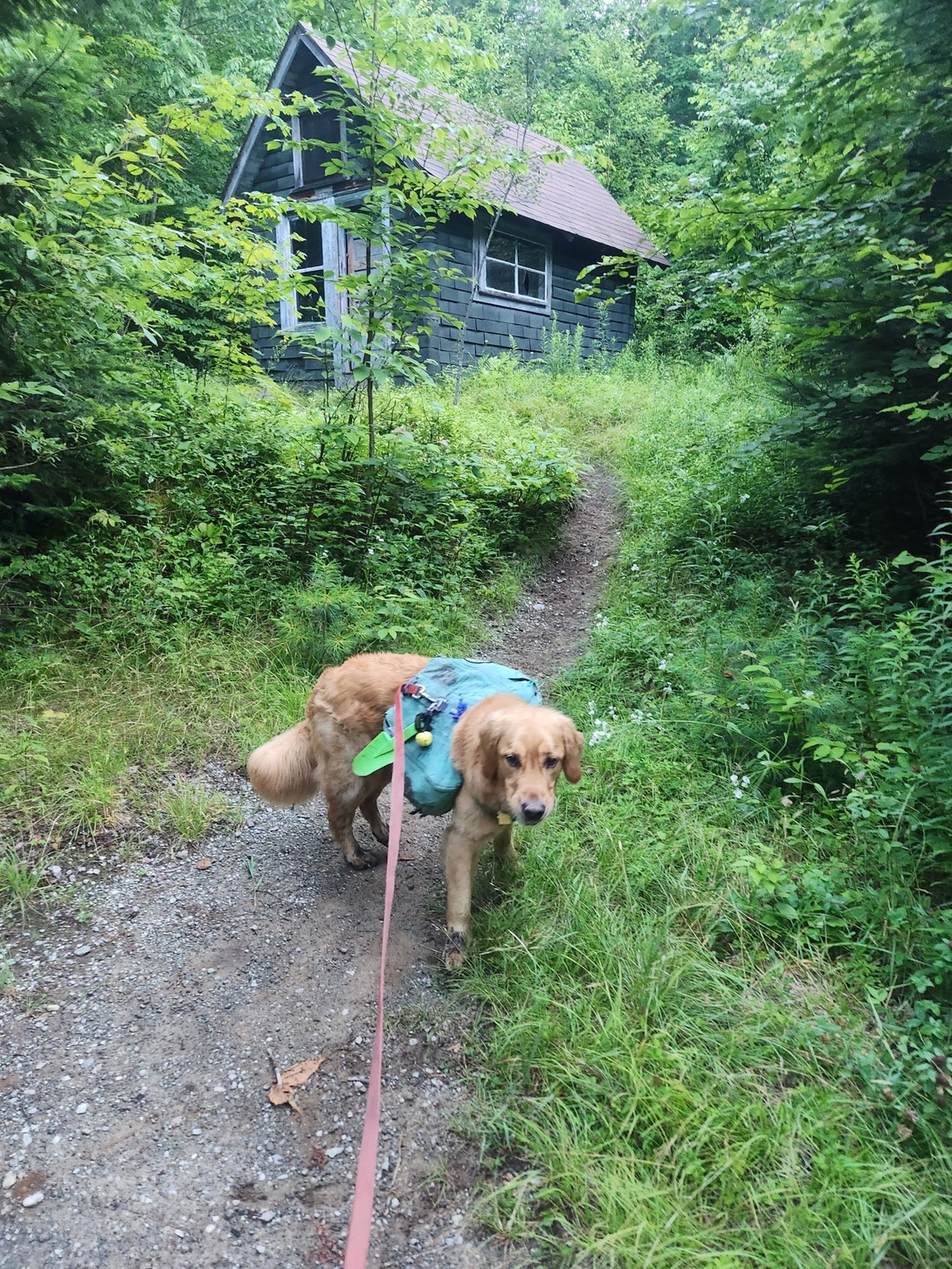 ranger's cabin