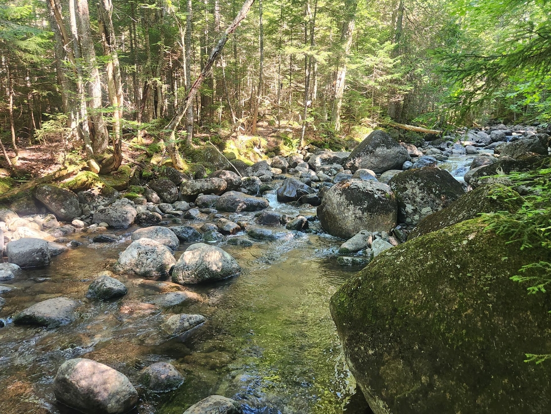 skylight brook