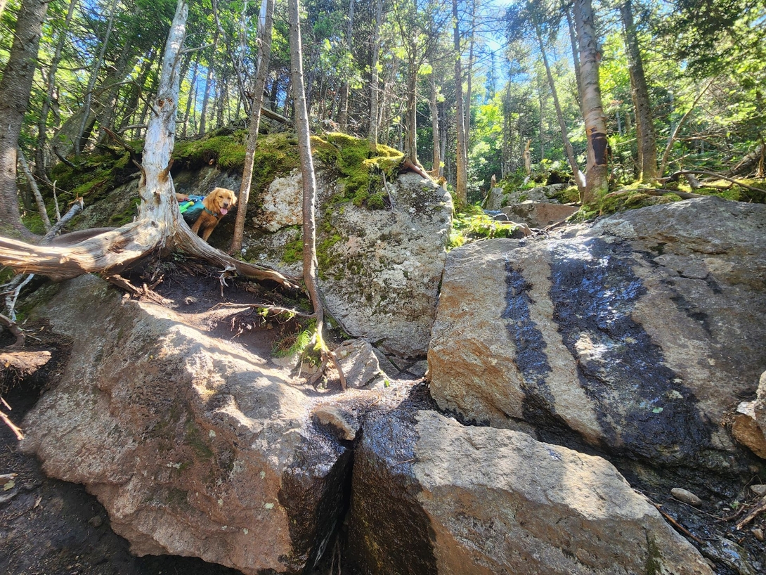 near the top