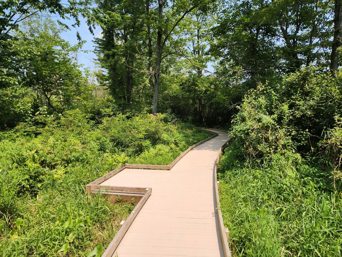 boardwalks