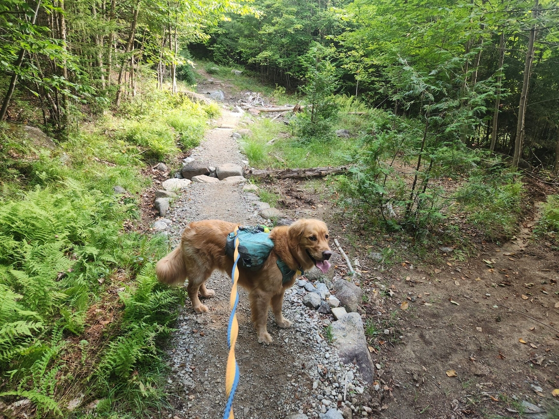trail maintenance