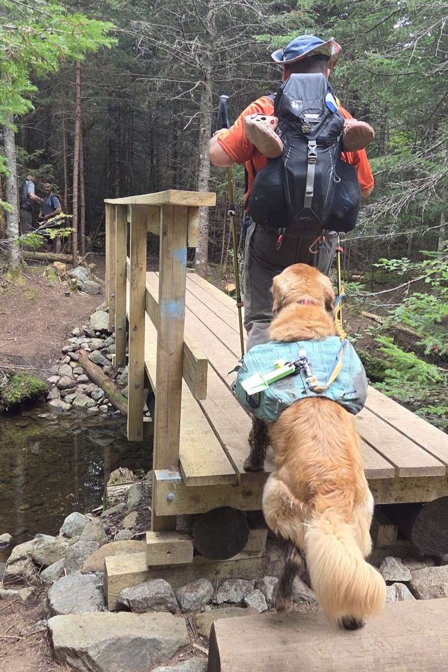 Bridge near Herbert Brook Lean-to