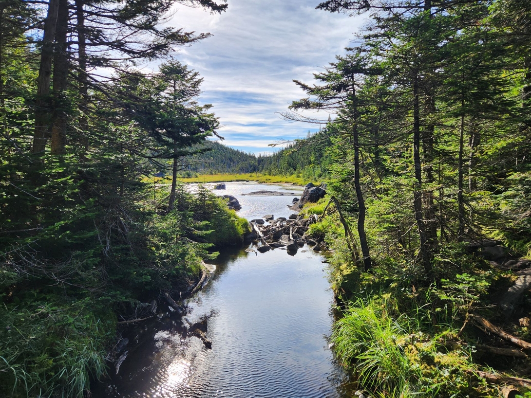 Lake Tear of the Clouds