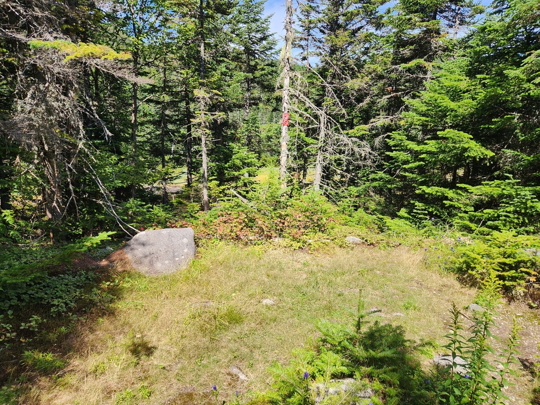 Perfect camping spot