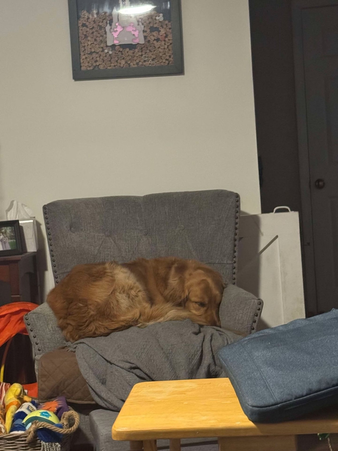 sunny chillin