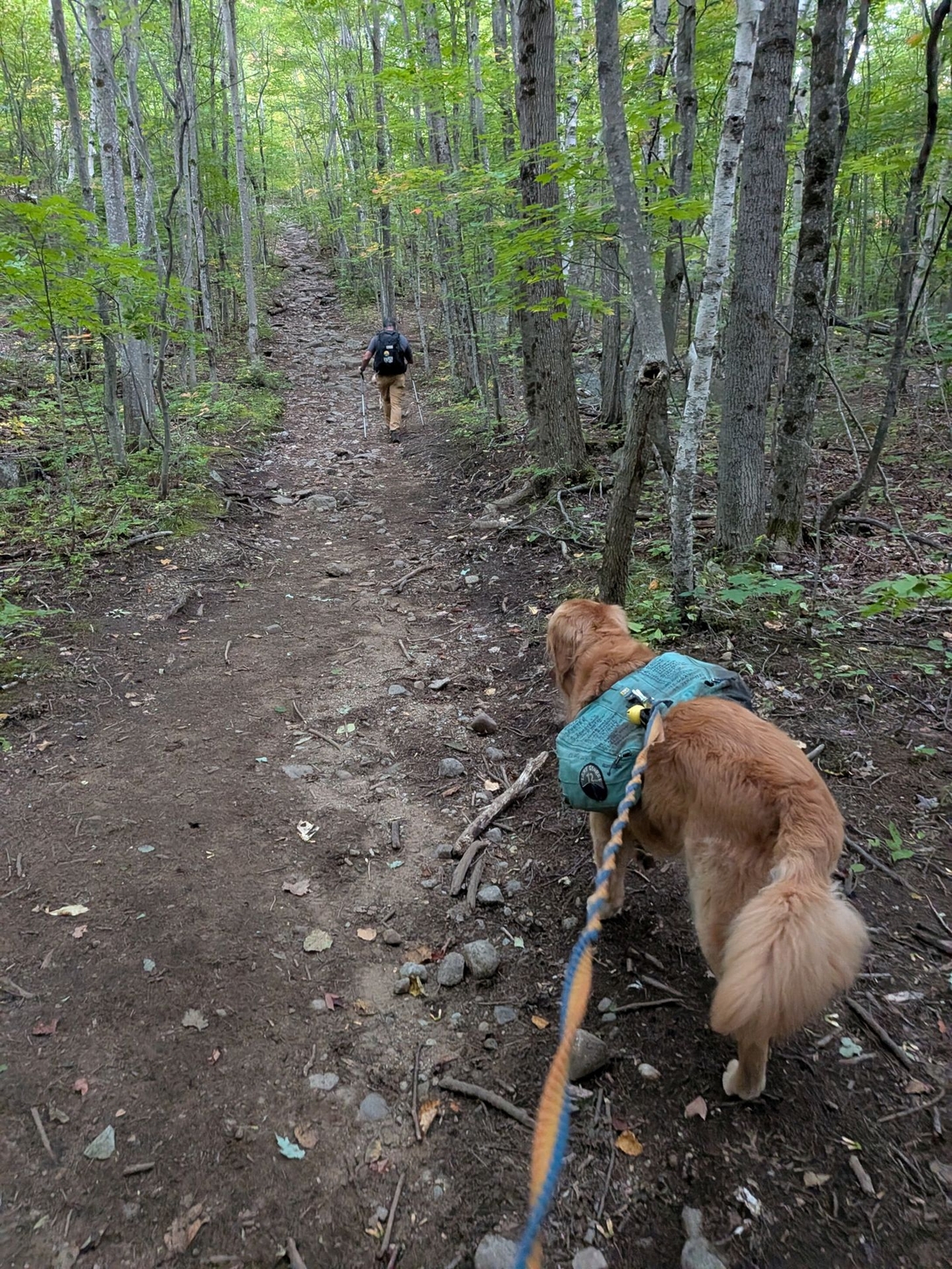 approaching the ascent.