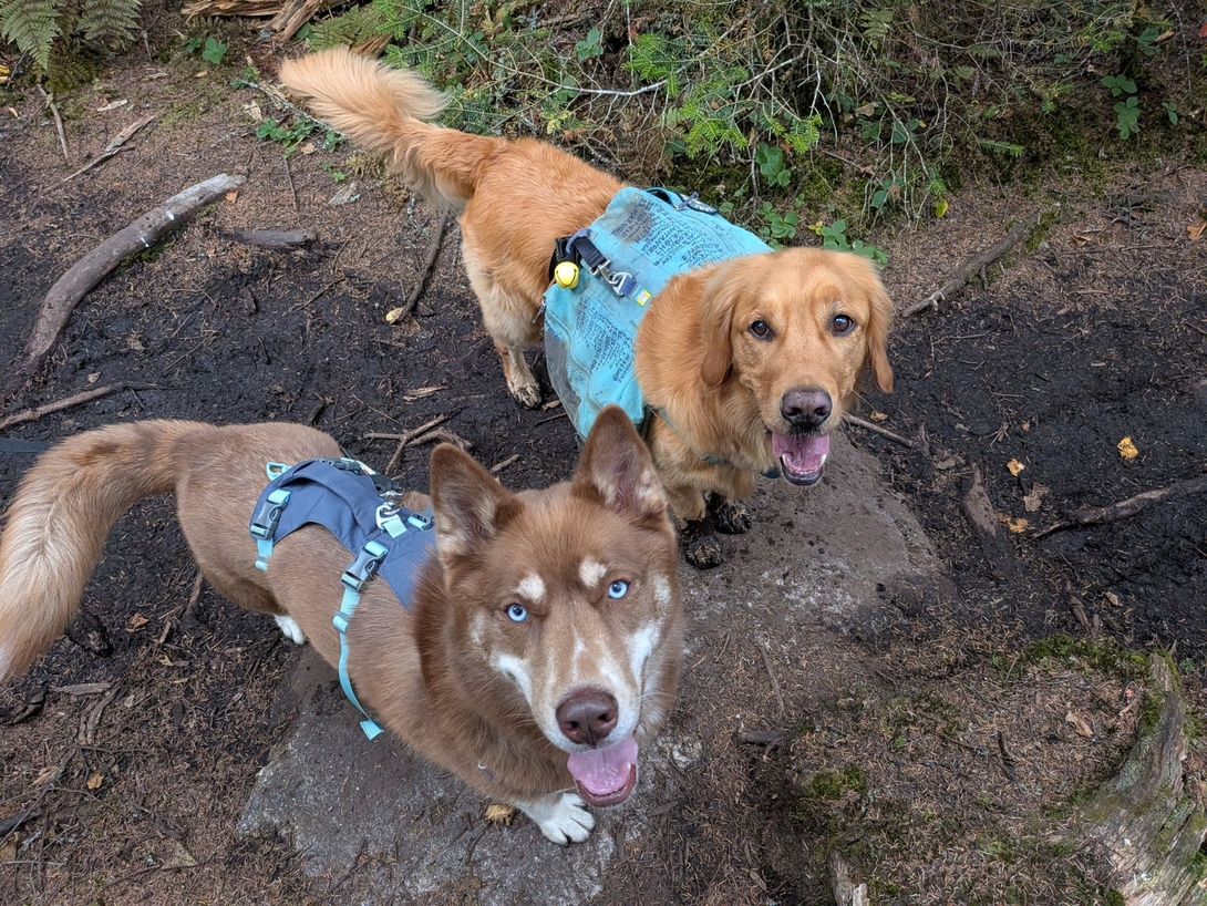 sunny and Stella