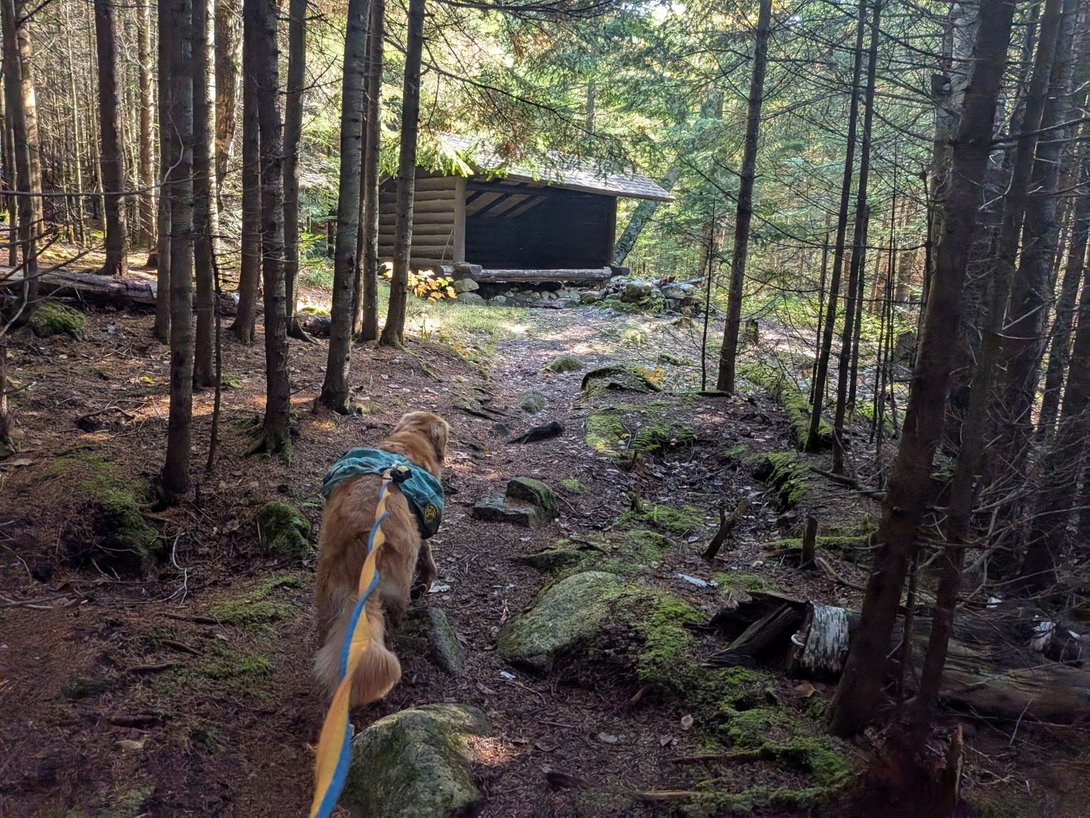 approaching the leanto