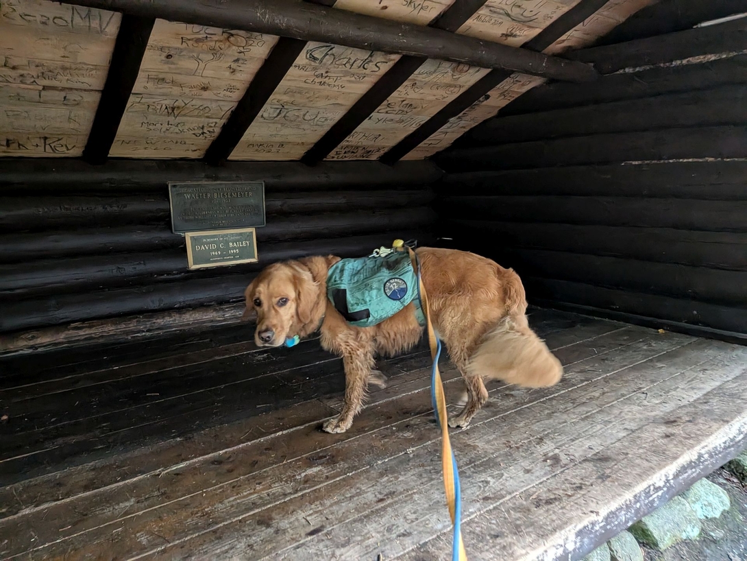 in the leanto