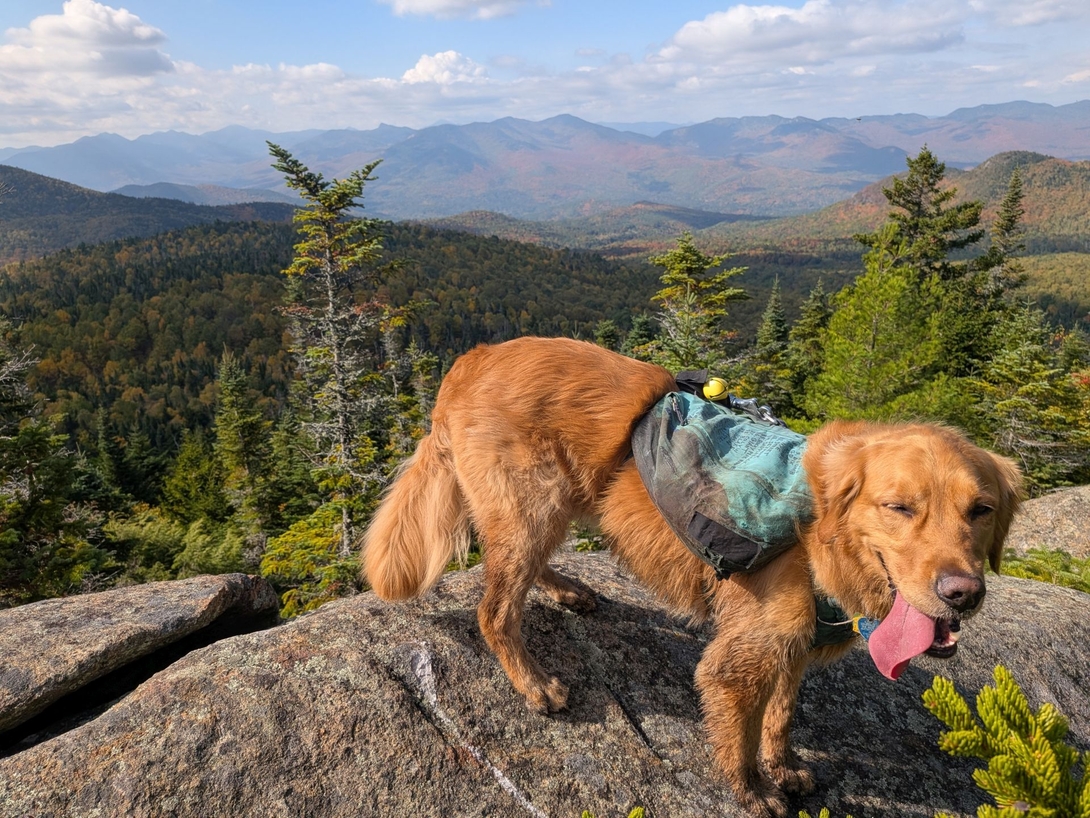 on the ridge