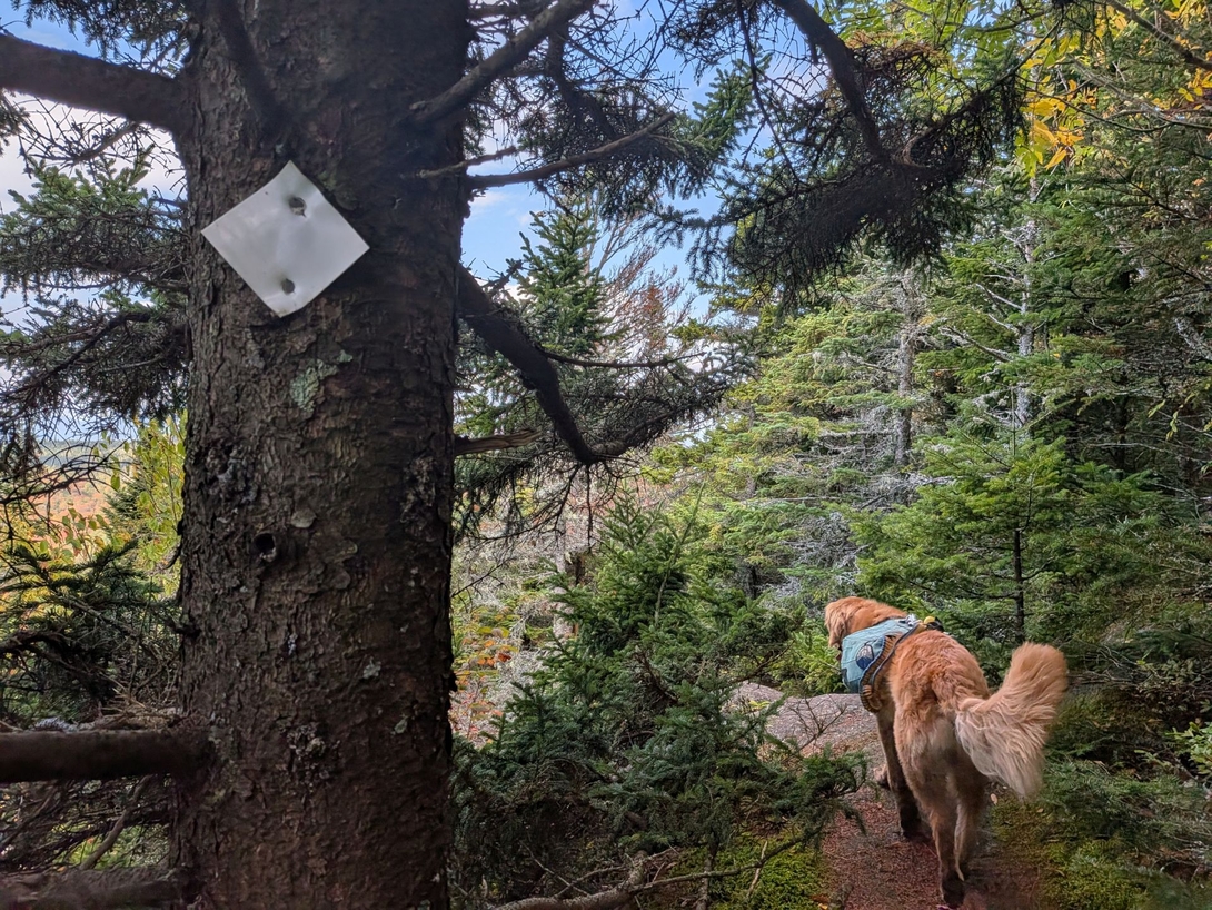 trail marker