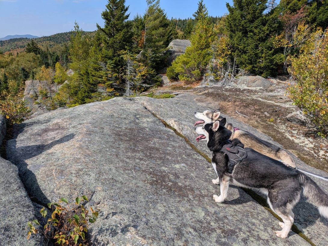korra and zuko