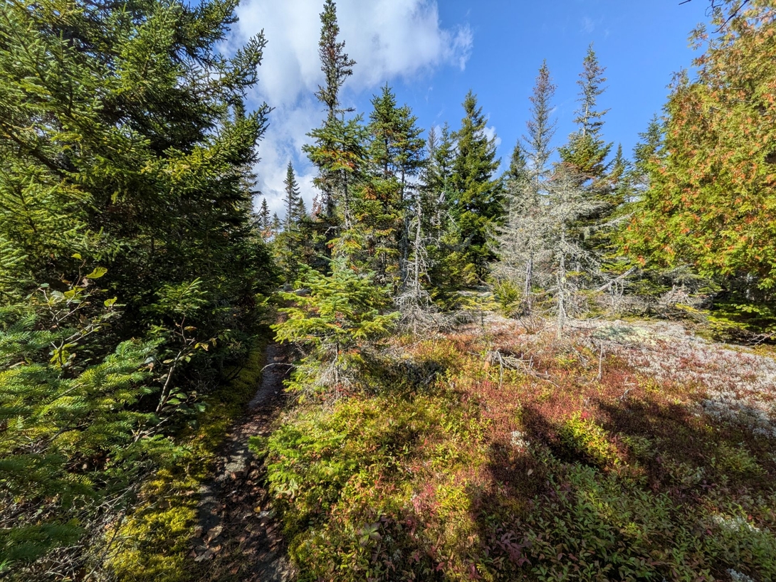 on the trail on the ridge