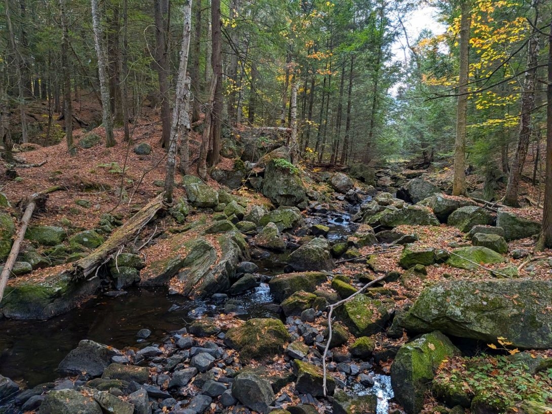 Stream