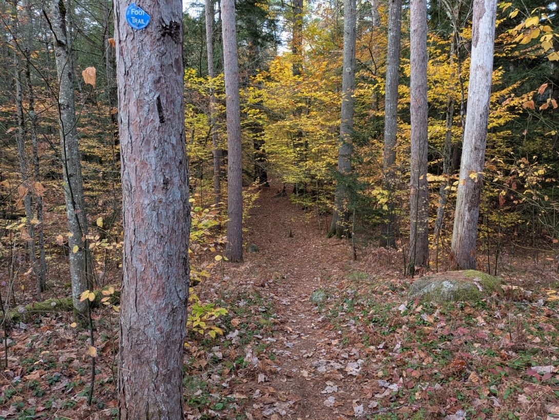 short swing trail by oxshoe pond