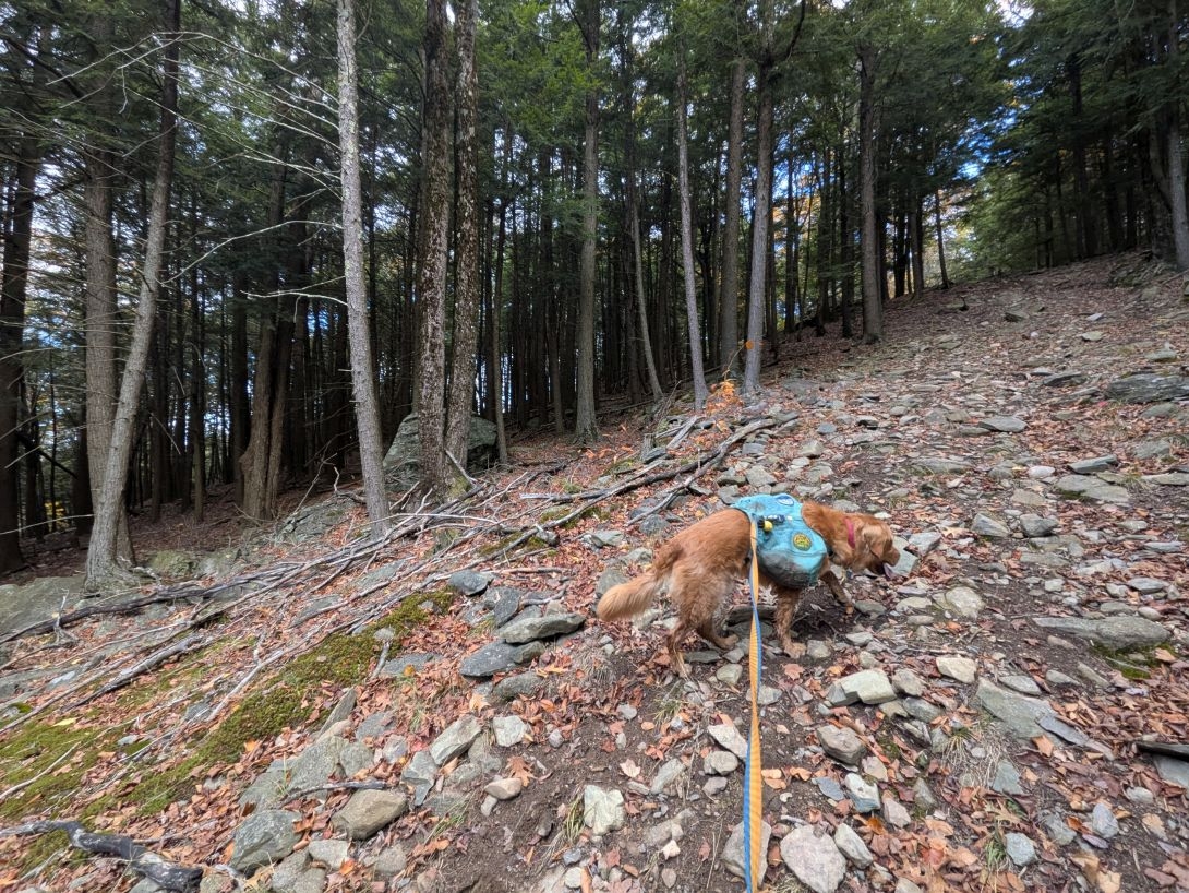 climb