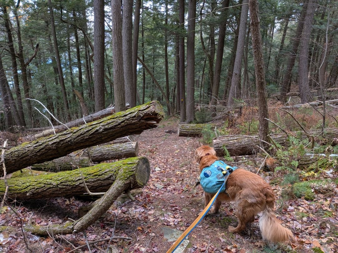 trail maintenance