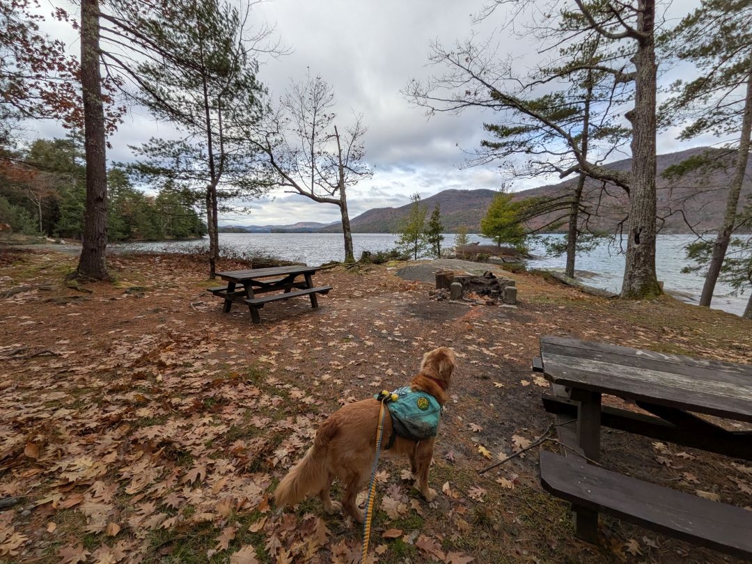 tent site
