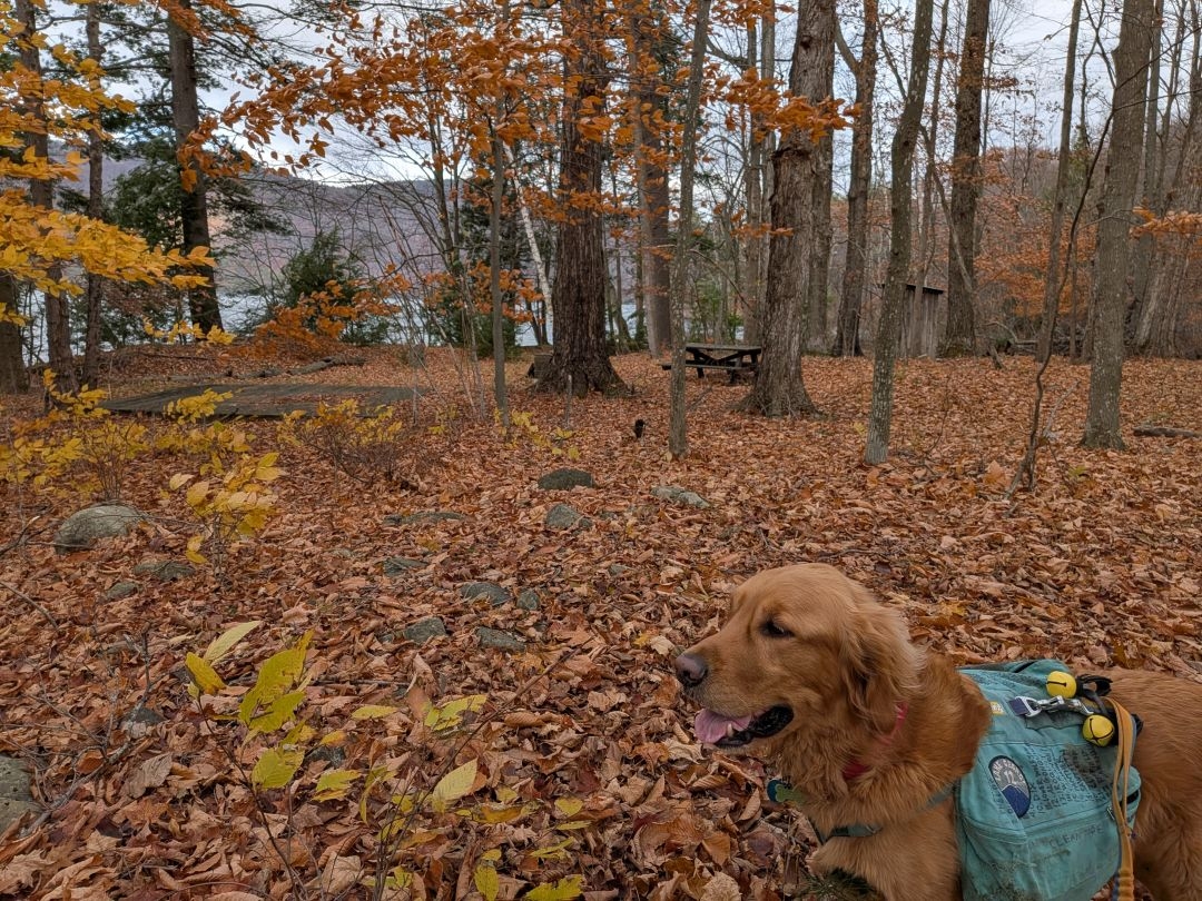 tent site