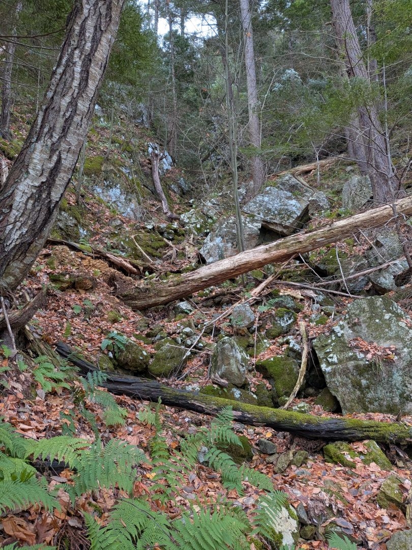 rocky drainage