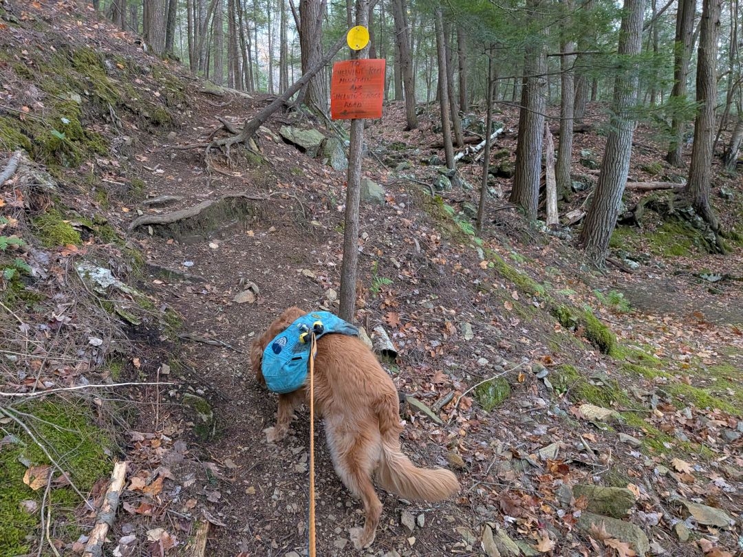 up