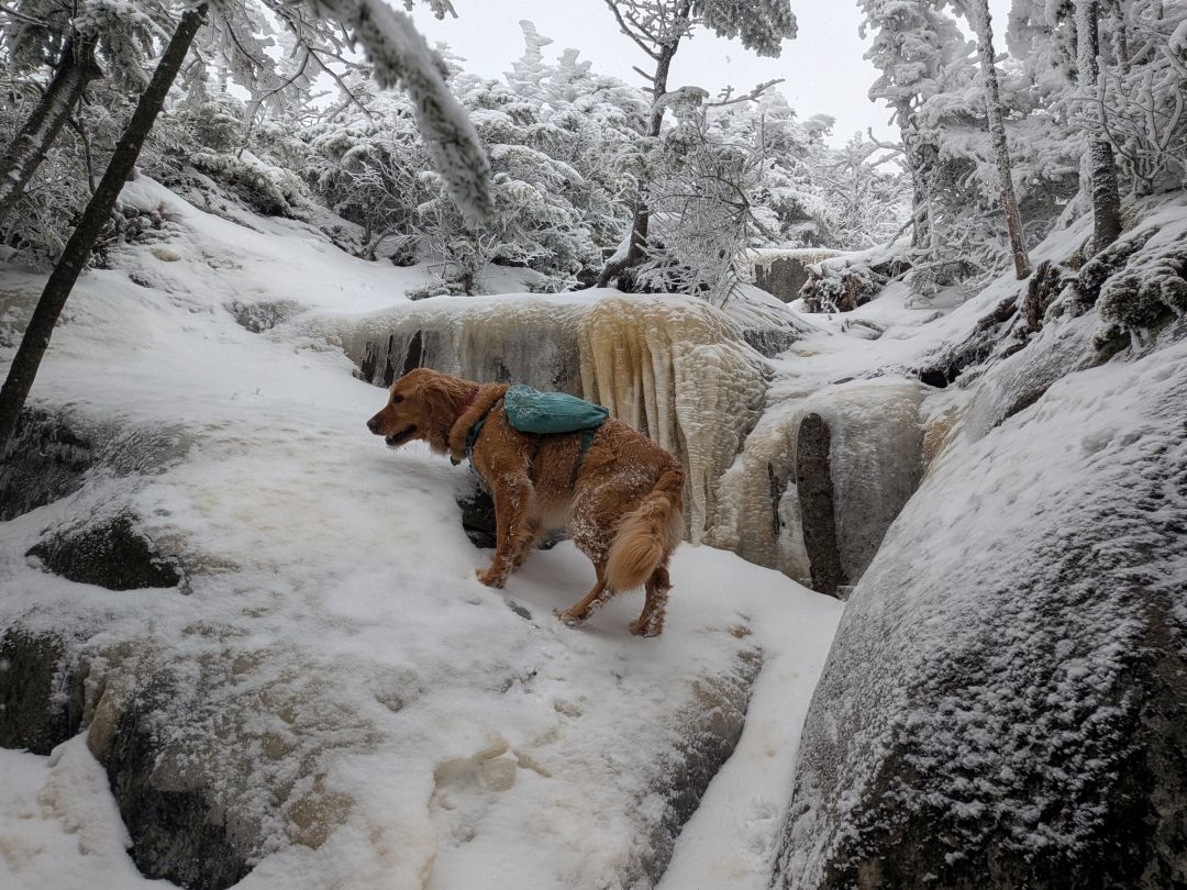 big ice cledge
