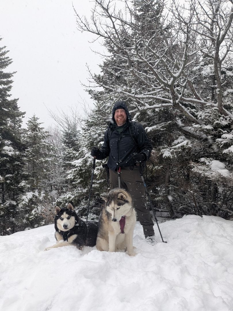 jay and dogs