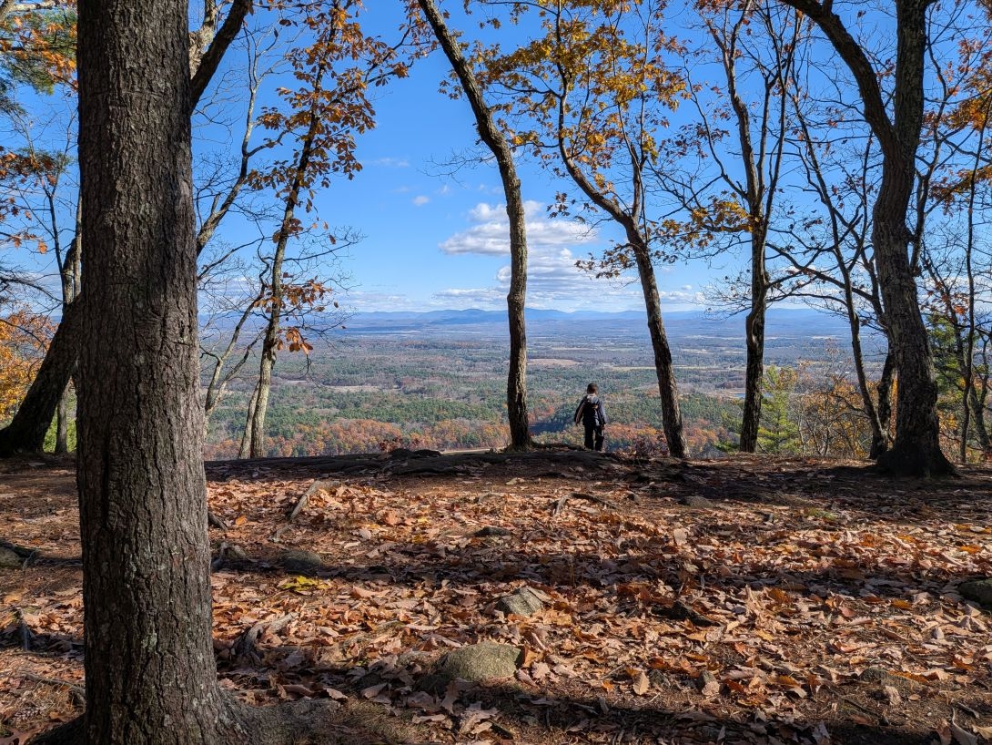 moreau overlook