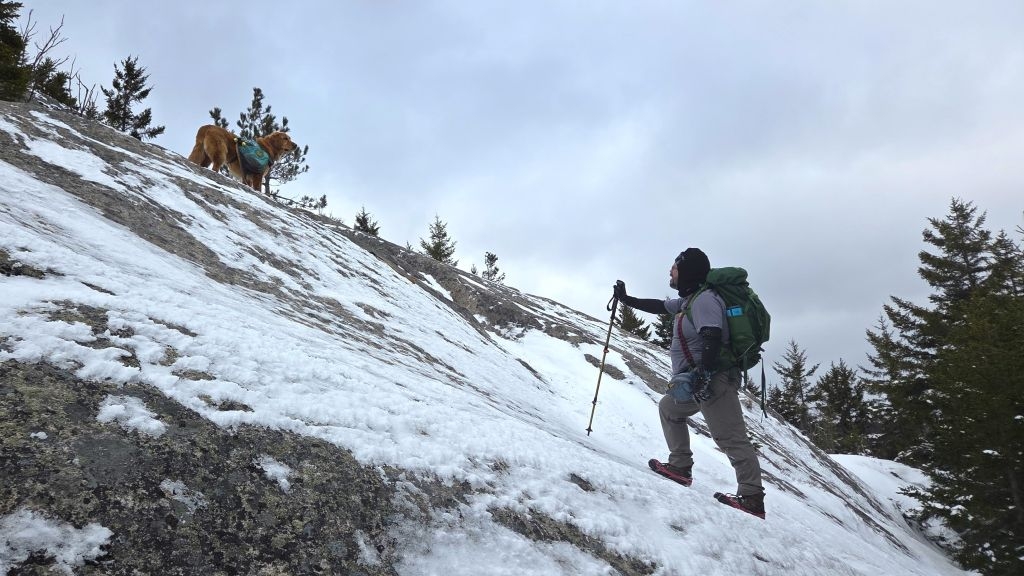 false summit