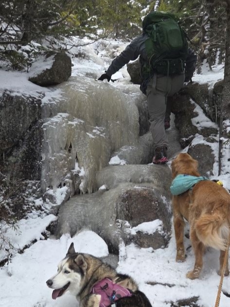 more rocks and ice