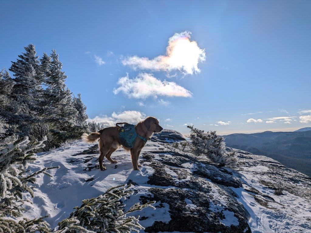 icy on top