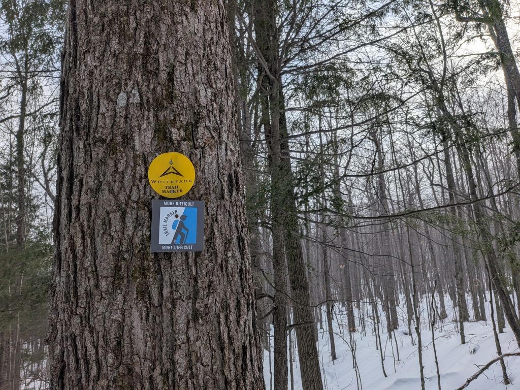 whiteface trail markers