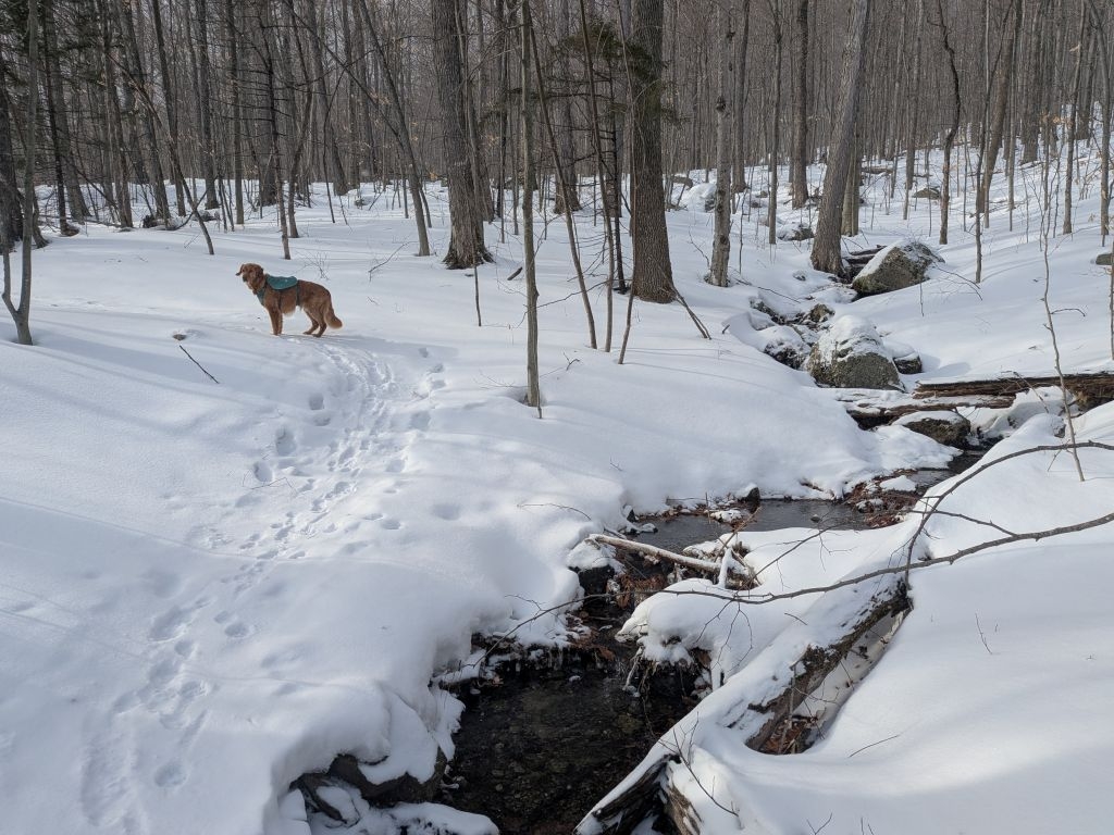 stream crossing