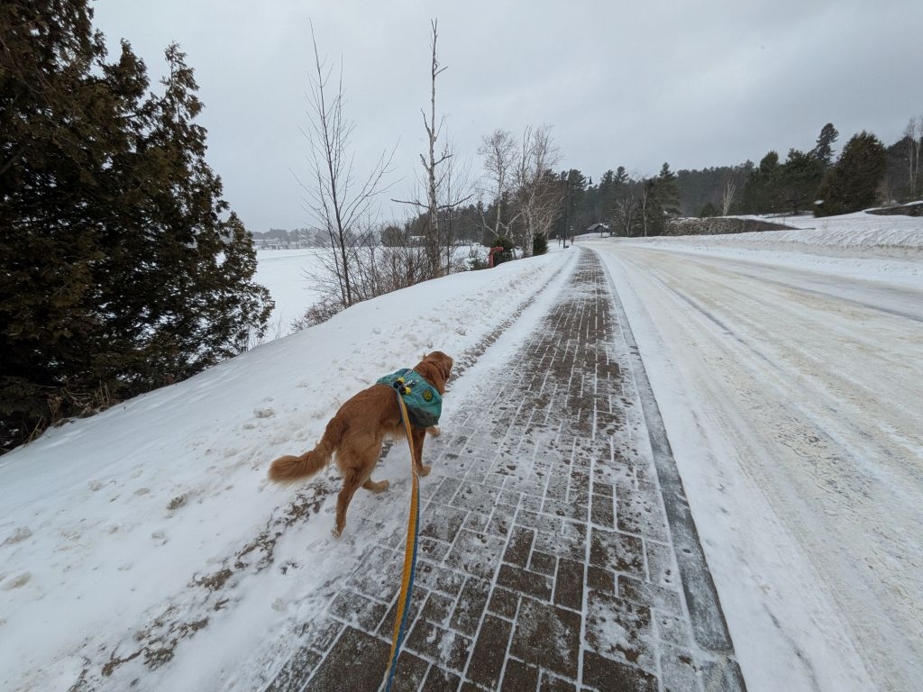 road walk