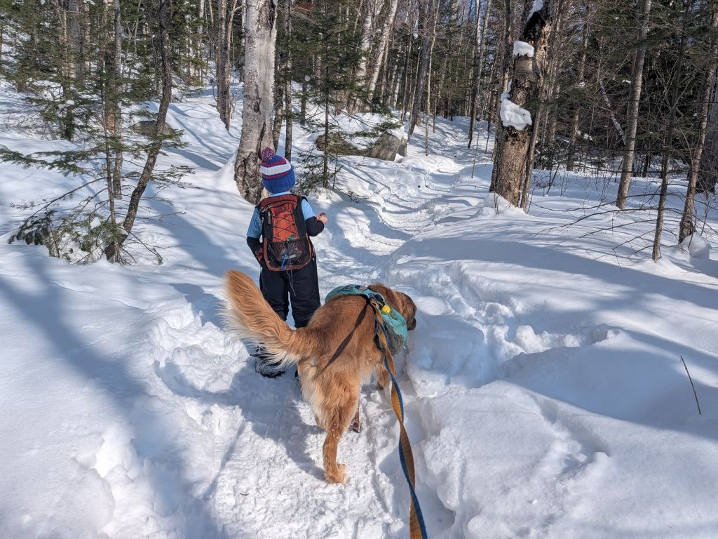 snowshoeing