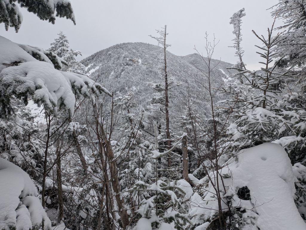 upper wolfjaw from the hill
