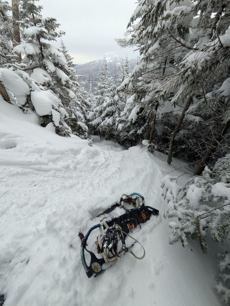 over the ice