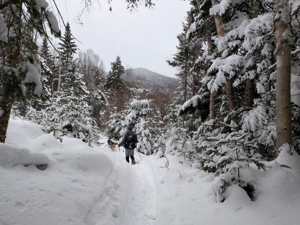 down trail