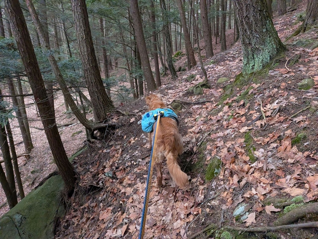 Trail along the curve of the valley