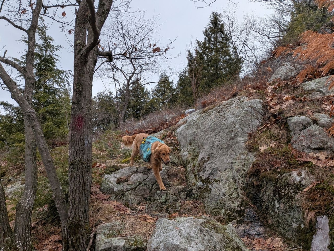 sunny bouldering