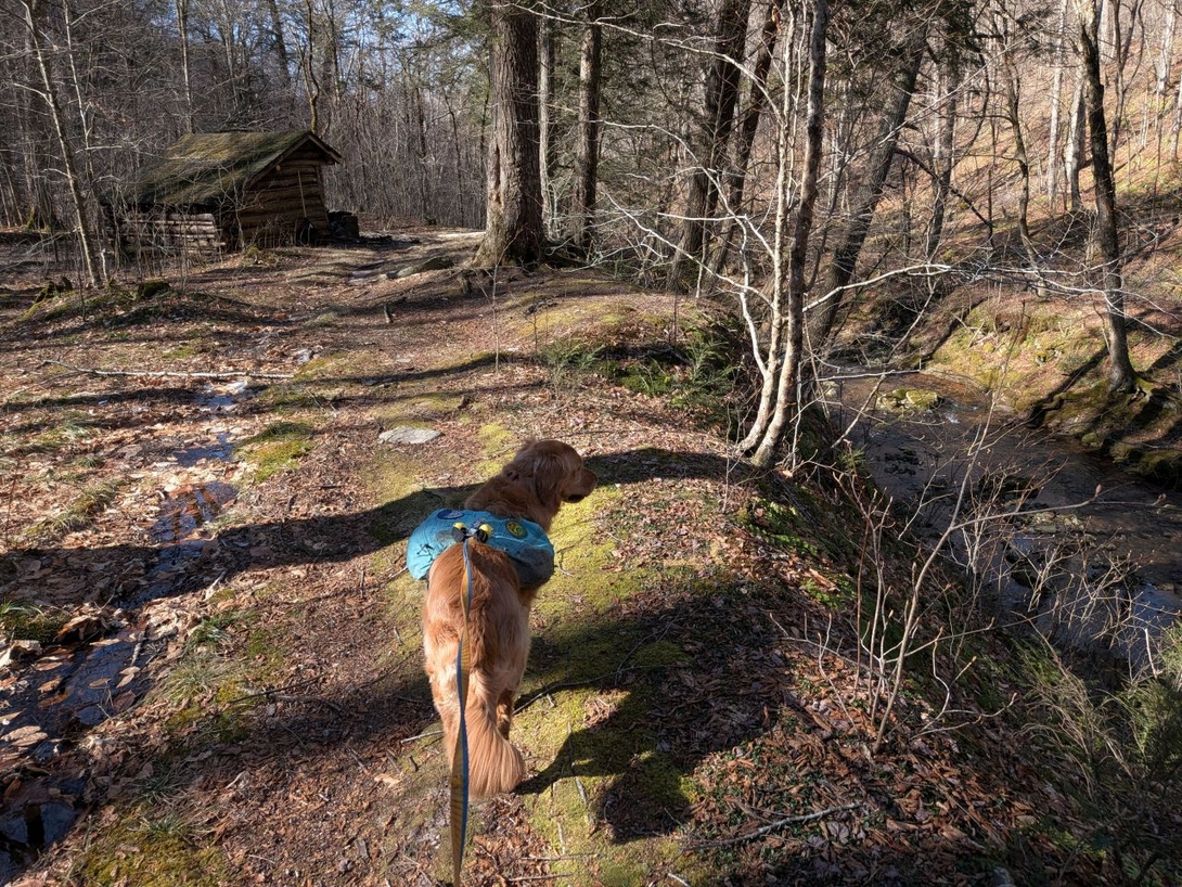 Biscuit Brook Lean-to